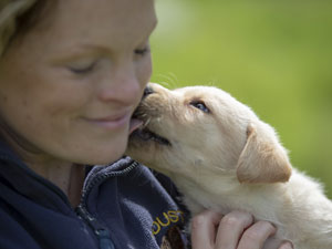 Housty Kennels